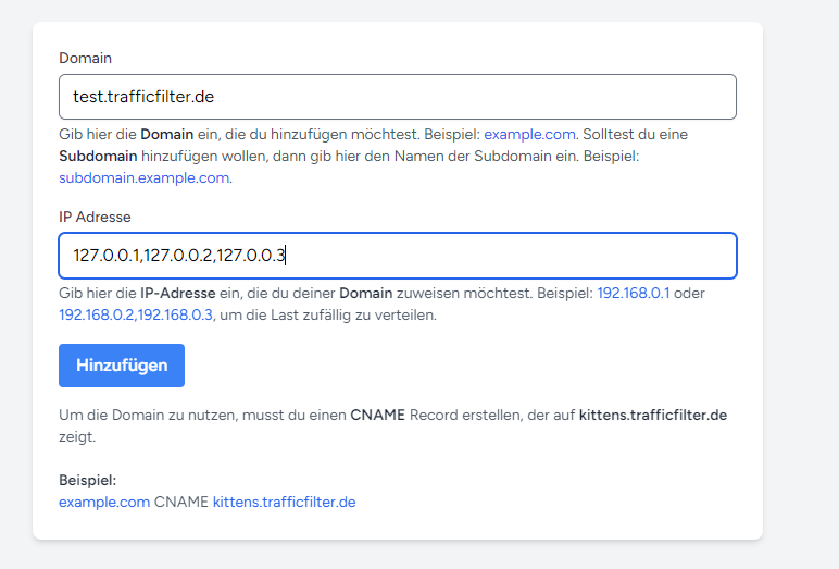 Der "Domain-Setup" Screen mit einer Domain ausgefüllt als test.trafficfilter.de und 3 IP Adressen als Demo.